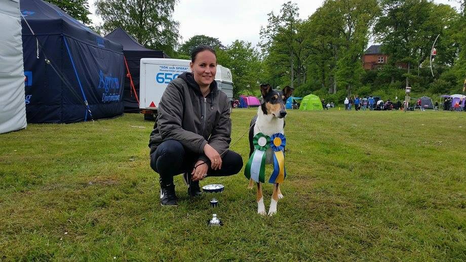 Alertness Jollity SKK Nat.Show Vänersborg 2015 Judge:lisbeth Liljeqvist CK/CH.Quality best openclass.Best female Winning Class CERT/CC BIM/BOS
Handler Zandra