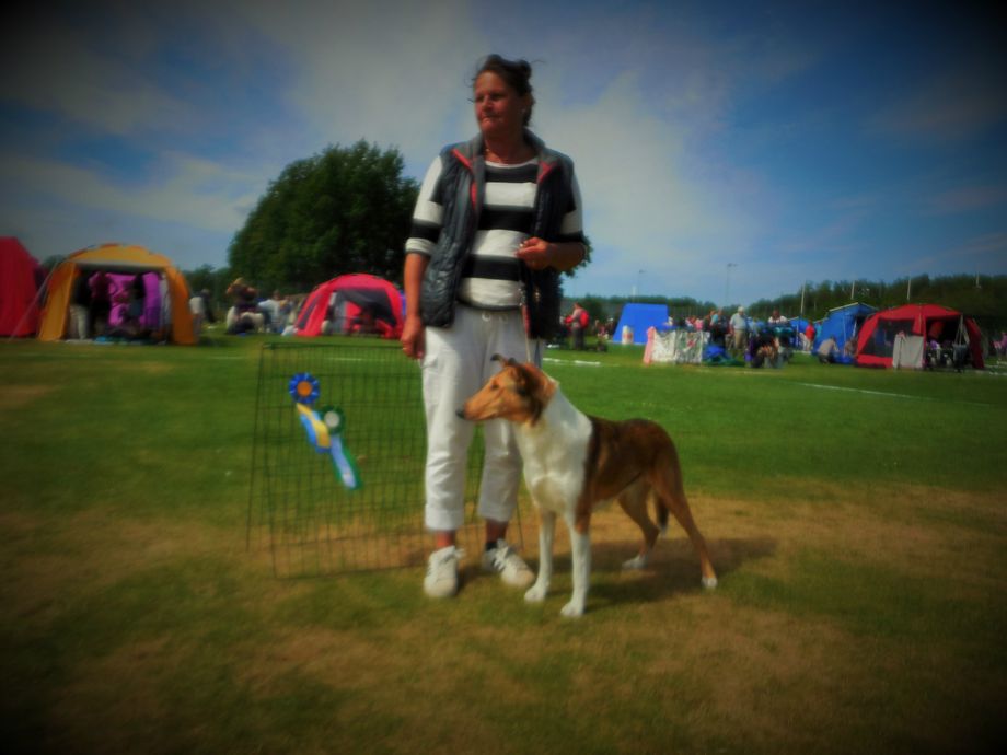 Mighty s Spring Meadow Joel Jago CK CERT BIM
SKK Nat.Show Tvåker Hallands Kennelklubb