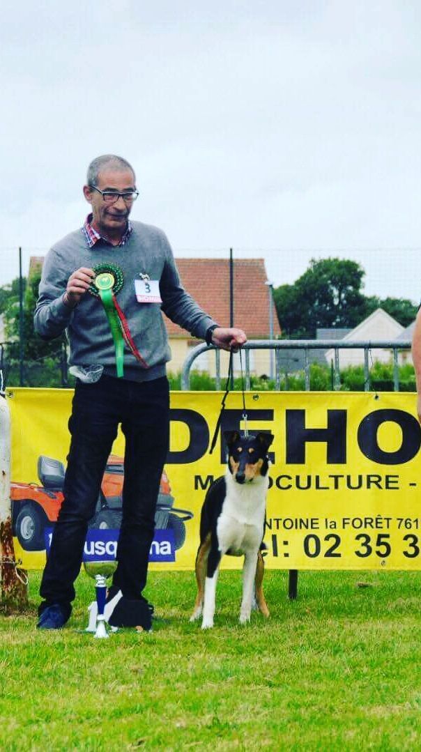Big Congratulasions to JuniorCh.Straightline's Starlight Dream Best Junior France . 
