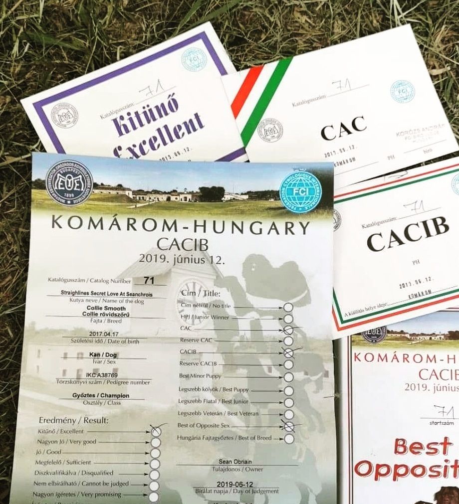 Super News Big Congratulations to Sean O Briain Ireland. New Hungarian Champion Today🏆🏆🏆🏆🏆