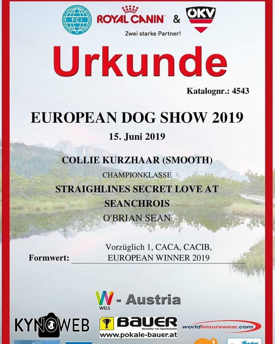 New European Winner 19.
EDS 15.6.2019 Wells. Congratulations to Sean O Briain Ireland. 