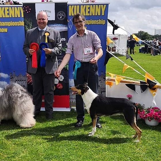 Big Congratulations to Sean O Briain Ireland
Straightline's Secret Love at Seanchrois CW18,19 BOB. Big 2