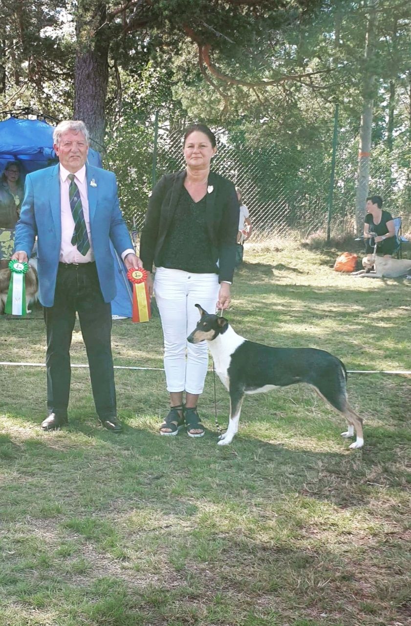 Nat show Backamo Ljungskile Sweden Kennel Club Nat show
Straightline's Savannah Spirit BOB 
Judge Mr Tolson Ronnie Ireland. 