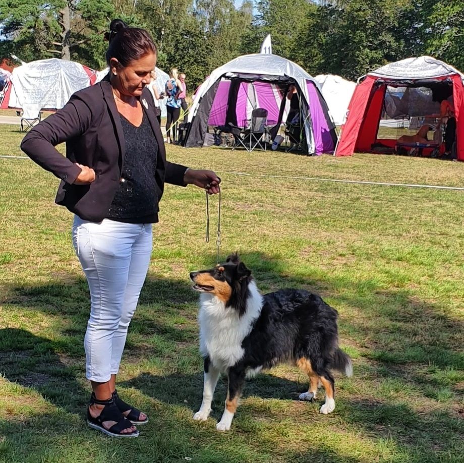 Nat show Backamo Ljungskile Sweden Kennel Club
Straightline's X-tra Joy Second best female puppie HP 
Judge Mr Tolson Ronnie Ireland 