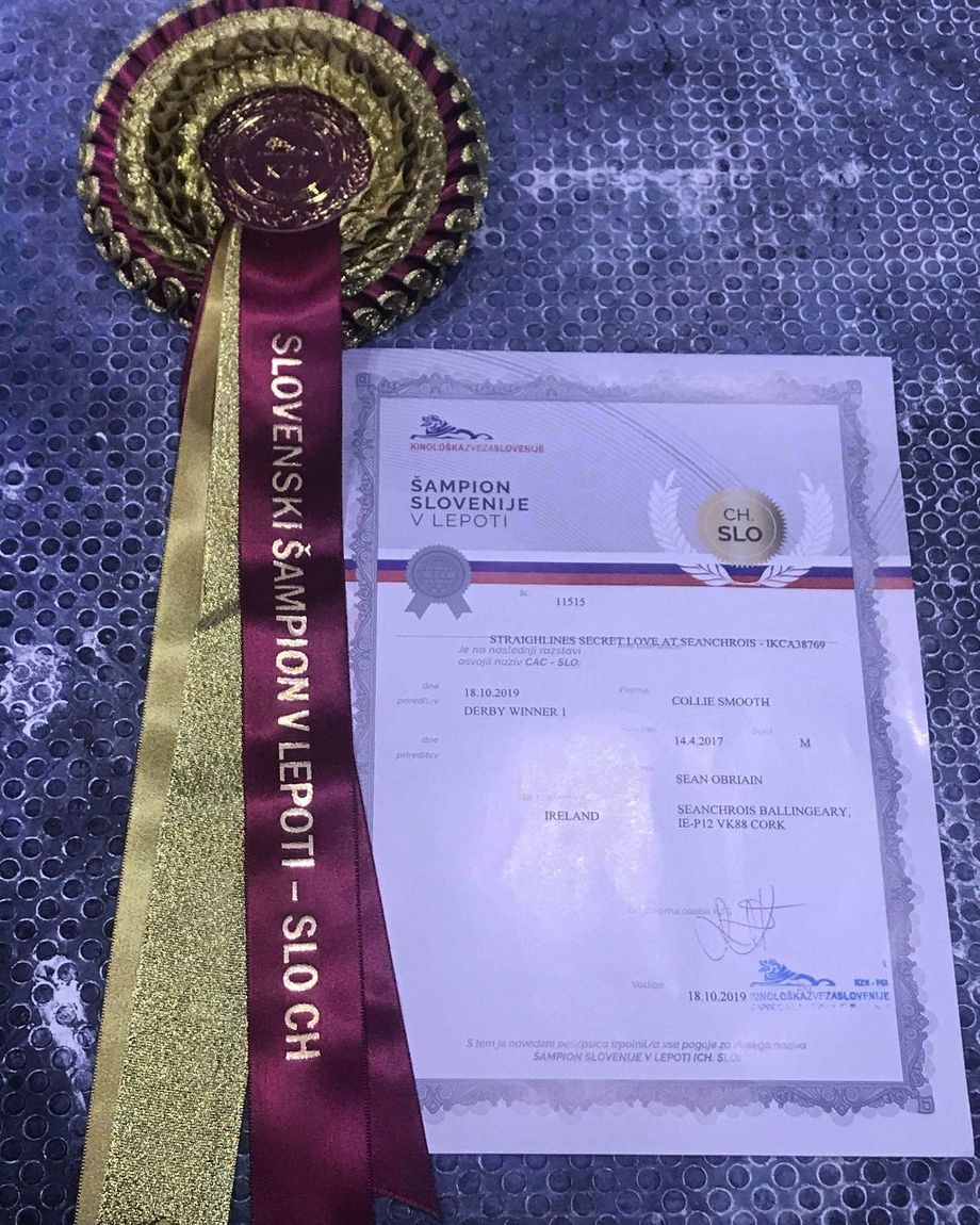 Big Congratulations to Sean O Briain Ireland
MultiCh Straightline's Secret Love at Seanchrois 
New Slovenien Champion. 