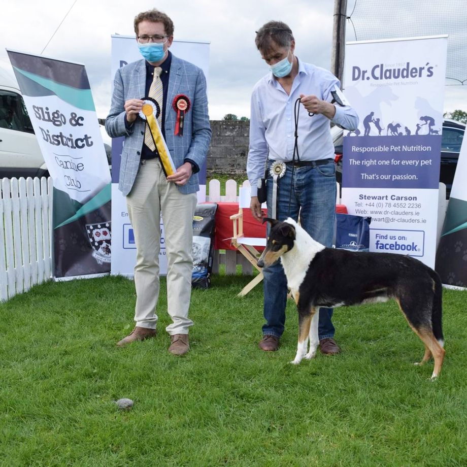 Big Congratulations to Multich Int ch. Straightline's Secret Love at Seanchrois. Ireland. Best Male WINNING CLASS. BOB. Big 3.