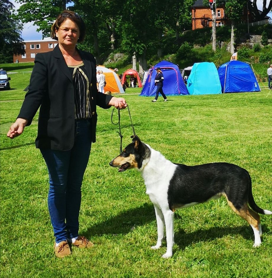 Solarstyle Dancing River Best Male Junior Class Excellent Champion Quality. Sweden Kennel Club 